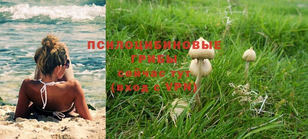 стафф Арсеньев
