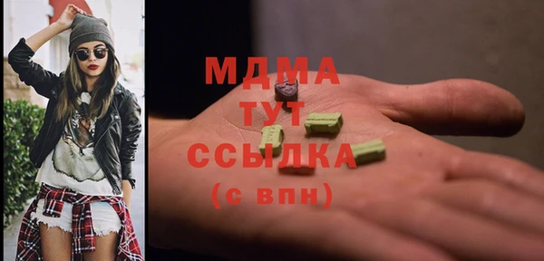 шишки Аркадак