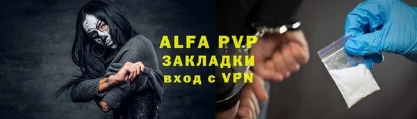 стафф Арсеньев