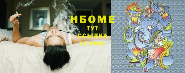 крисы Баксан