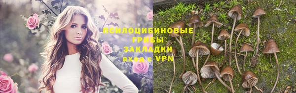 шишки Аркадак