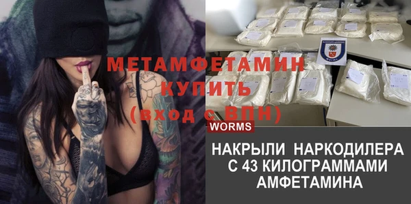 шишки Аркадак