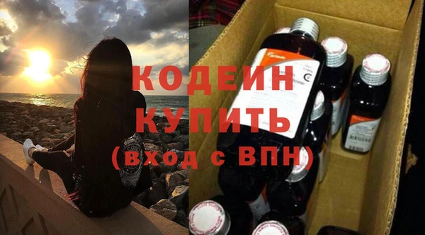 шишки Аркадак