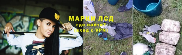 шишки Аркадак