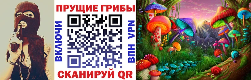 Галлюциногенные грибы мицелий  Покровск 